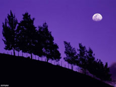 Природа